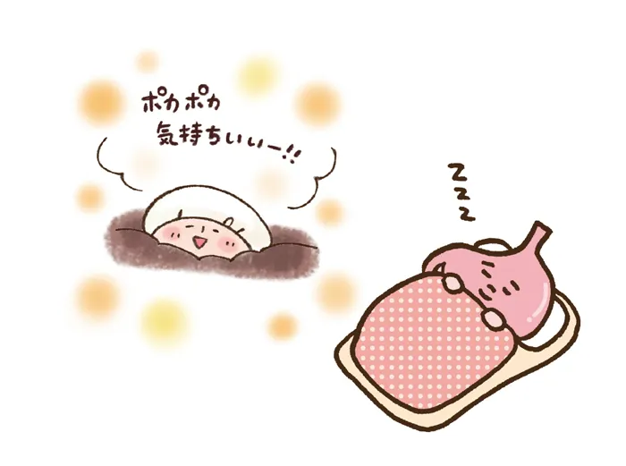ファスティングと組み合わせた本格ケア